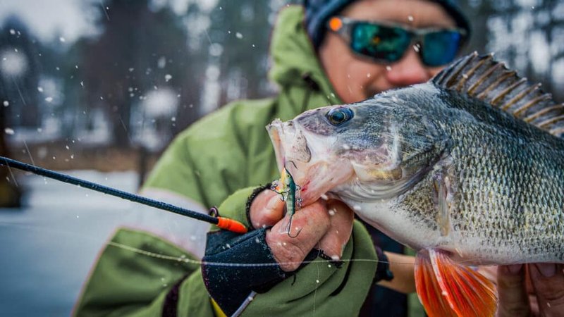 Image: Catch the Chill of Ice Fishing Live in UK's Top Online Casinos